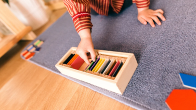 Montessori Eğitim Modeli Nedir, Özellikleri Nelerdir